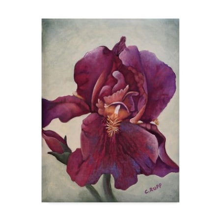 Trademark Fine Art